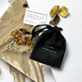 Lot de pierre d'ambre de la mer Baltique, poids 20-21 gr