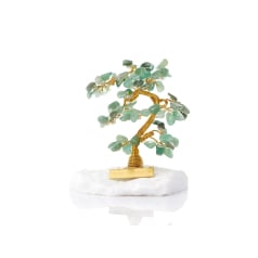 Geluksboom 16-17 cm met...