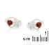 Fischohrringe mit natürlichem Cognac-Bernstein, aus 925 rhodiniertem Silber