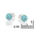 Boucles d'oreilles avec turquoise boule, en argent rhodié 925