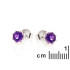 Orecchini con ametista viola naturale, in argento 925 rodiato