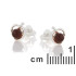 Pendientes con ámbar coñac natural, en plata 925 rodiada