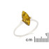 Ring mit grünem Bernstein der Ostseefähre, aus rhodiniertem Silber 925