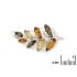 Broche avec ambre multicolore naturel de la mer Baltique, en argent rhodié 925