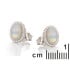 Boucles d'oreilles avec opale ovale et oxyde de zirconium, en argent rhodié 925