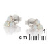 Ohrringe mit rundem Opal und Zirkonoxid, aus rhodiniertem Silber 925