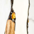 Lampe de chevet en laiton, ambre et verre, 11x11x24 cm