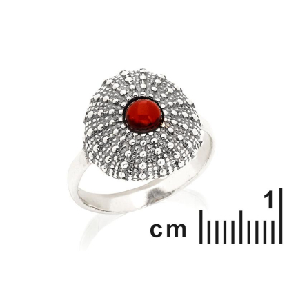 Bague avec ambre cognac naturel de la mer Baltique rond, en argent vieilli 925