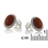 Brincos com jaspe vermelho natural oval, em prata 925 envelhecida