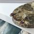 Boucles d'oreilles avec améthyste et ambre, en argent rhodié 925