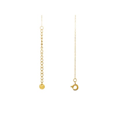 PVD gold-plated stainless steel chain, 40+5 cm