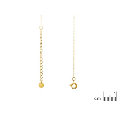 PVD gold-plated stainless steel chain, 40+5 cm