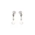 Drop earrings with opal and zirconium oxide, 925 rhodium silver