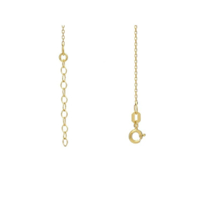 Chaîne en argent doré 925/1000, forçat 0.30, longueur 45+3cm