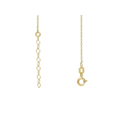 925/1000 goudkleurige zilveren Ketting, kracht 0,30, lengte 42+3cm